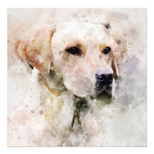 Labrador Retriever Dog Watercolor Portrait 02 Fotodruck