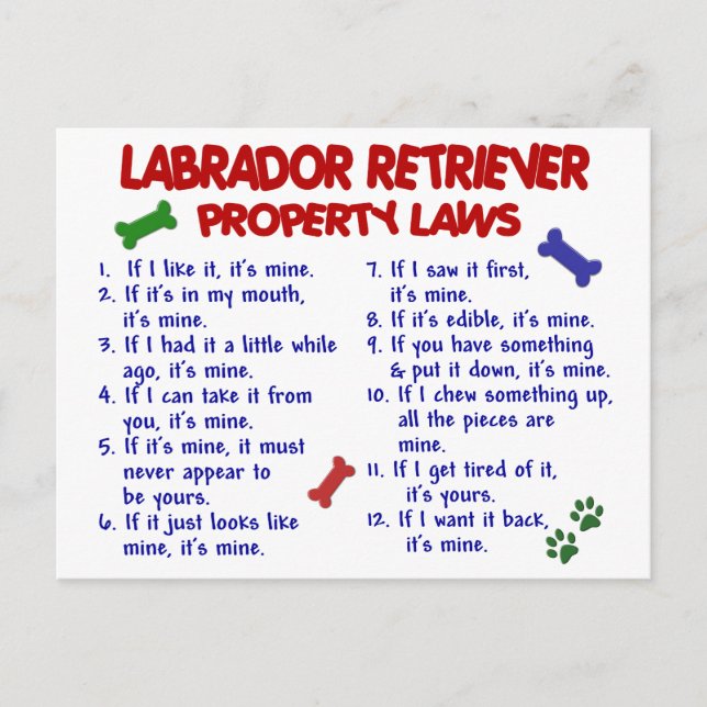 LABRADOR RETRIEVER-Eigentumsrechte Postkarte (Vorderseite)