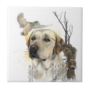  Labrador Retriever  Fliese