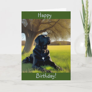 Labrador Retriever Geburtstag Karte