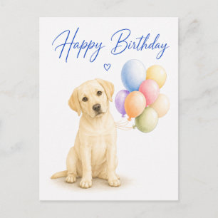 Labrador Retriever Geburtstag Postkarte
