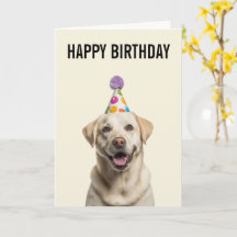 Labrador Retriever Geburtstagsfeier