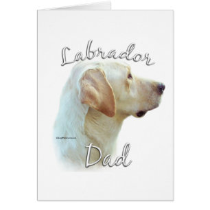Labrador Retriever (gelb) Vater 2