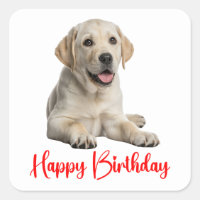 Labrador Retriever Gelber Lab Welpe Hund Geburtsta