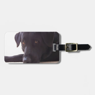 labrador retriever gepäckanhänger