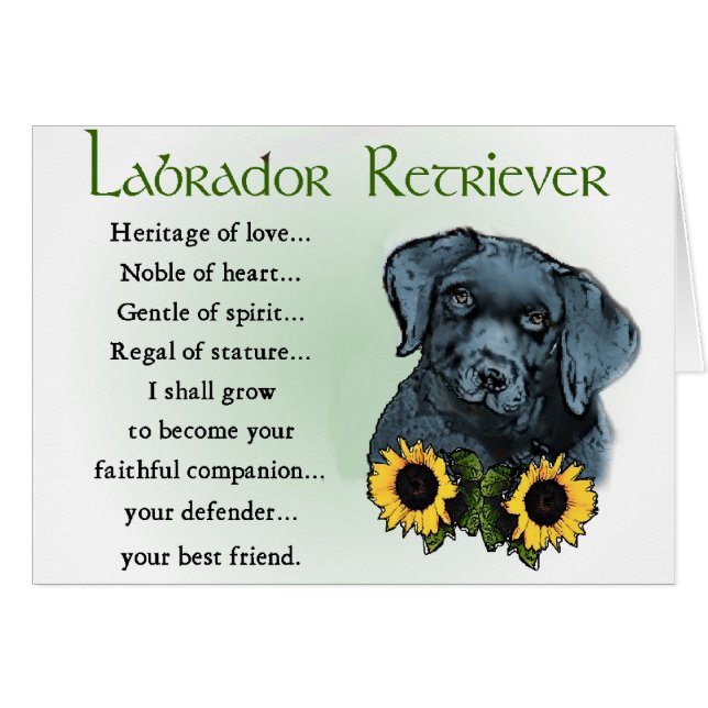 Labrador Retriever Geschenke (Vorderseite (Horizontal))