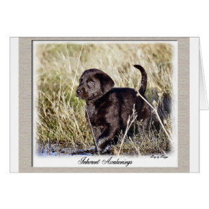 Labrador Retriever Geschenke
