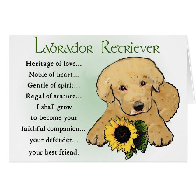 Labrador Retriever Geschenke (Vorderseite (Horizontal))