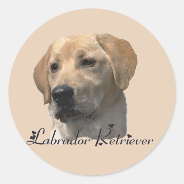 Labrador Retriever Geschenke Runder Aufkleber (Vorderseite)