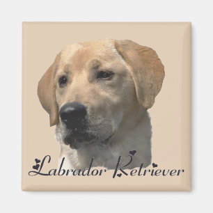 Labrador Retriever gibt Gelbe Labrador Art Magnet