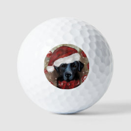 Labrador Retriever Golfball