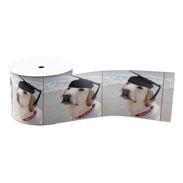 Labrador Retriever Graduate With Cap Ripsband (Spule)