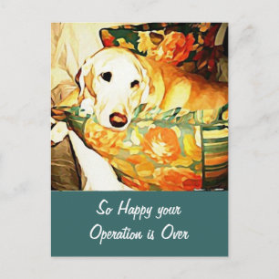 Labrador Retriever Gute Besserung Postkarte