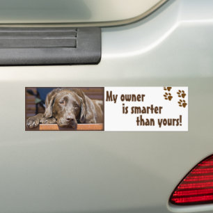 Labrador Retriever Hund Foto Funny Template Autoaufkleber