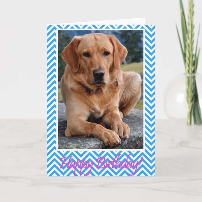 Labrador Retriever Hund Happy Birthday Blue Card Karte (Vorderseite)