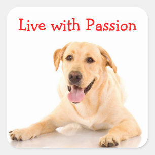 Labrador Retriever Hund Lebe Mit Leidenschaft Aufk Quadratischer Aufkleber