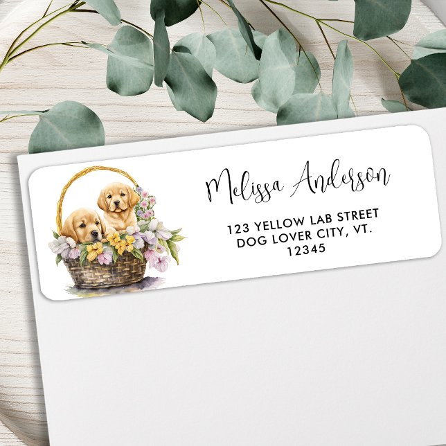 Labrador Retriever Hund Niedliche Welpen Rücksende (Von Creator hochgeladen)