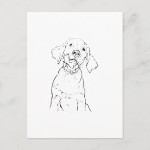 Labrador Retriever Hund Postkarte