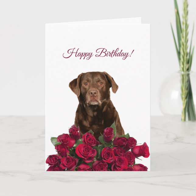 Labrador Retriever Hund Rose Happy Birthday Card Karte (Vorderseite)
