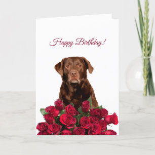 Labrador Retriever Hund Rose Happy Birthday Card Karte