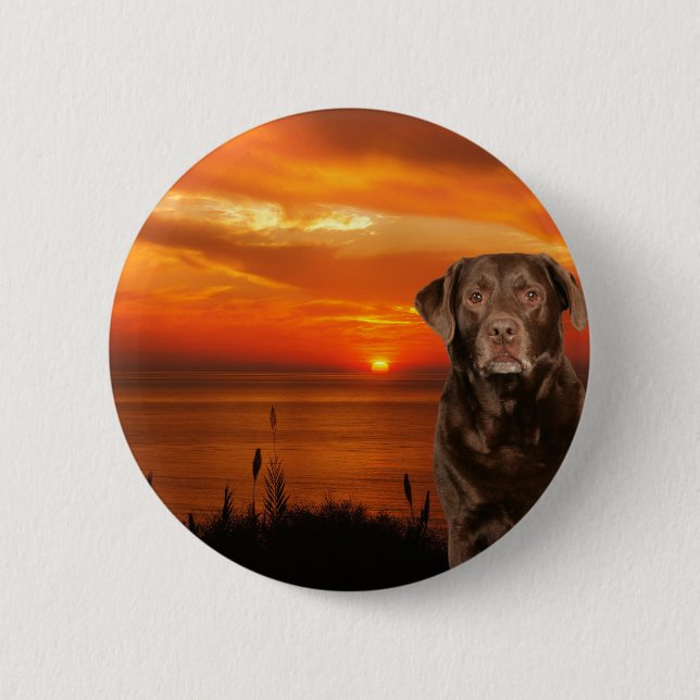 Labrador Retriever Hund sitzend neben Sonnenunterg Button (Vorderseite)