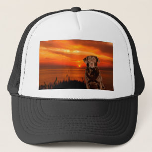 Labrador Retriever Hund sitzend neben Sonnenunterg Truckerkappe
