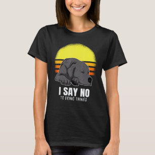 Labrador Retriever Hund Sonnenuntergang 54 T-Shirt