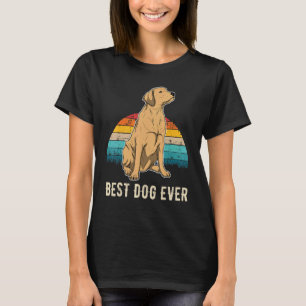 Labrador Retriever Hund Sonnenuntergang 8 T-Shirt