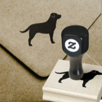 Labrador Retriever Hunde Silhouette