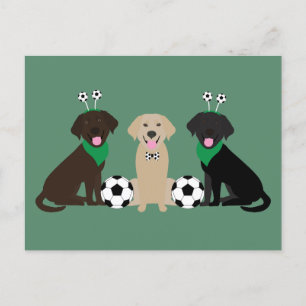 Labrador Retriever Hunde spielen Fußball Postkarte