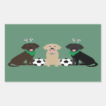 Labrador Retriever Hunde spielen Fußball