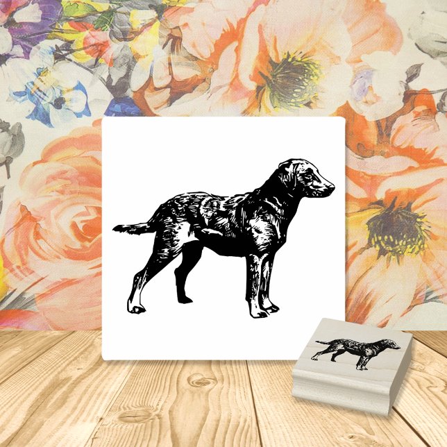 Labrador Retriever Hundezucht Gummistempel (Von Creator hochgeladen)