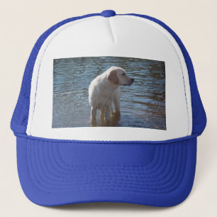 Labrador retriever-Hut in dem See Truckerkappe