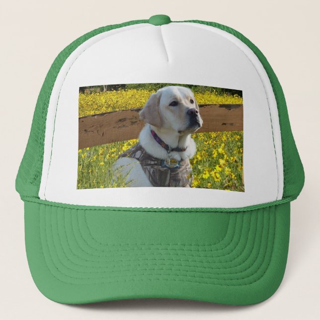 Labrador retriever-Hut in The Field Truckerkappe (Vorderseite)