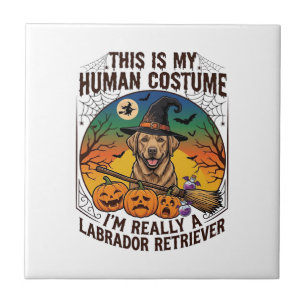 Labrador Retriever im Menschenkostüm Halloween Hex Fliese
