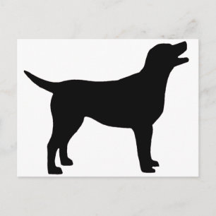 Labrador Retriever (in schwarz) Postkarte