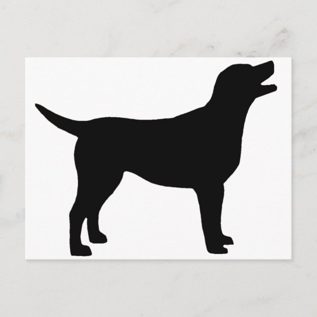 Labrador Retriever (in schwarz) Postkarte (Vorderseite)