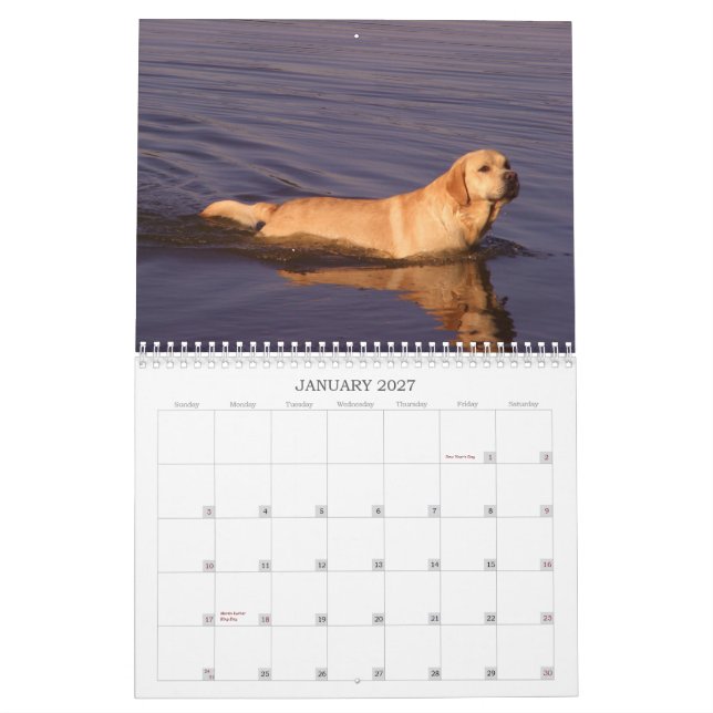 Labrador retriever-Kalender 2011 Kalender (Jan 2027)