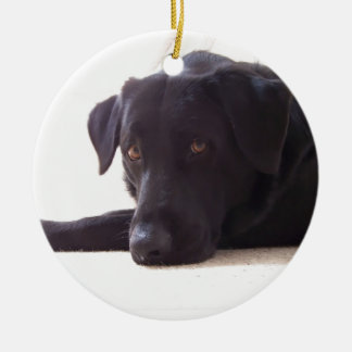 labrador retriever keramikornament