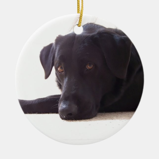 labrador retriever keramikornament (Vorne)