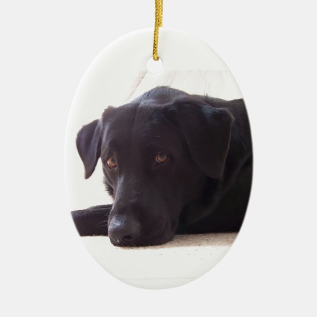 labrador retriever keramikornament (Vorne)