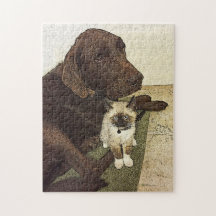 Labrador Retriever Kitten Buddy Best Friends