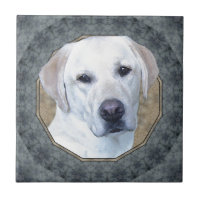 Labrador retriever klassisch