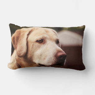 Labrador Retriever Lendenkissen