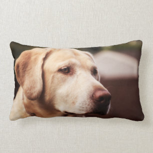 Labrador Retriever Lendenkissen