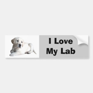 Labrador-Retriever-Liebe-Autoaufkleber Autoaufkleber