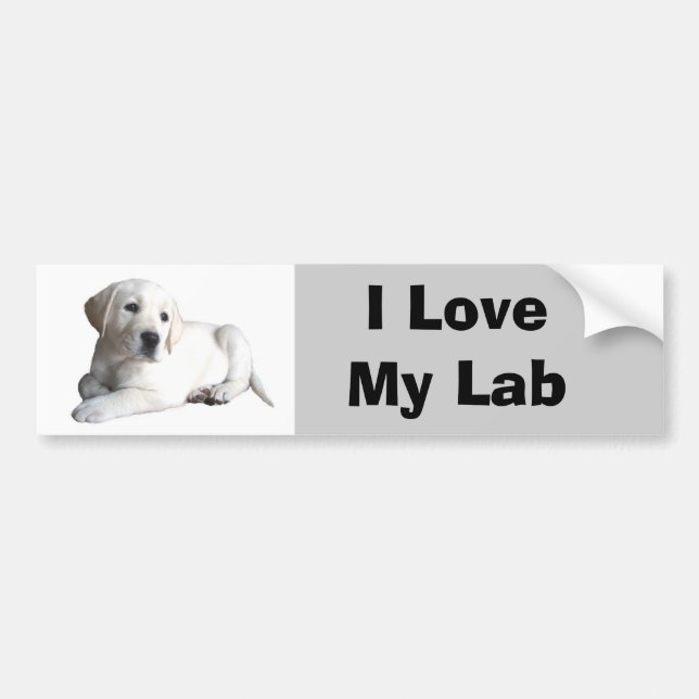 Labrador-Retriever-Liebe-Autoaufkleber Autoaufkleber (Vorne)