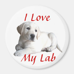 Labrador-Retriever-Liebe-Magnet Magnet