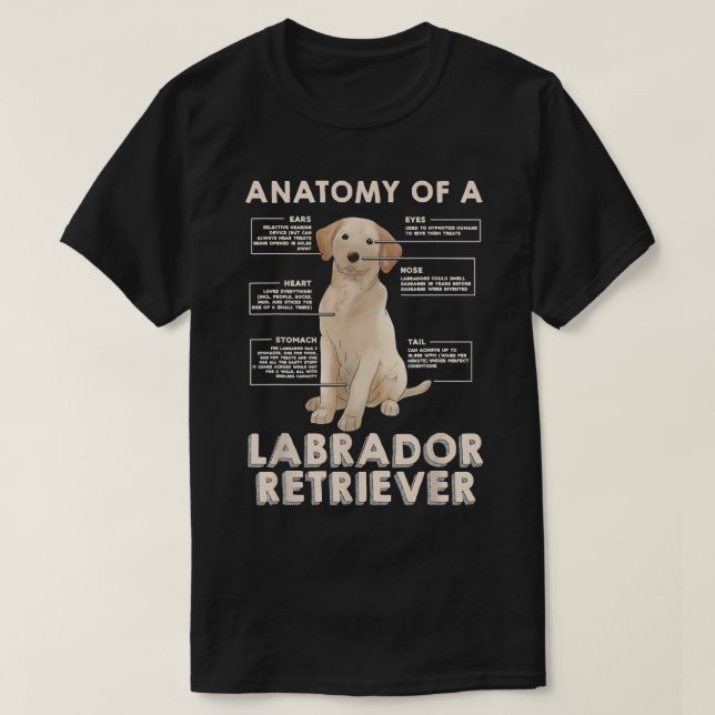 Labrador Retriever Lover Funny Anatomie eines Labr T-Shirt (Design vorne)
