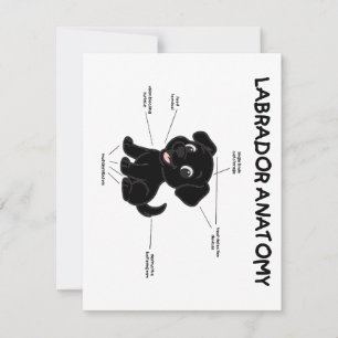 Labrador Retriever Lustige Anatomie Cartoon Mitteilungskarte